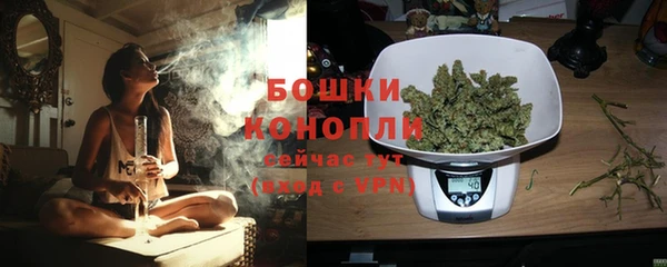 spice Богородск