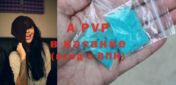 spice Богородск