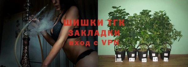 хмурый Богородицк