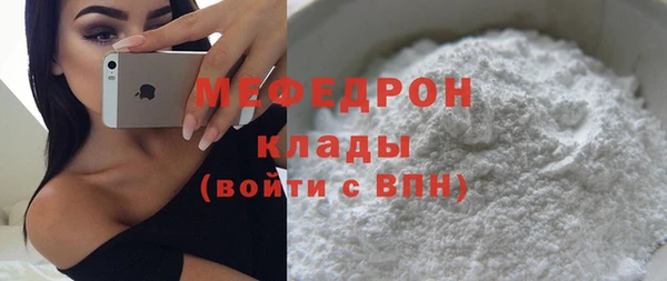 spice Богородск