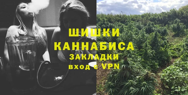 хмурый Богородицк