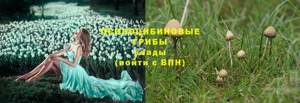 кокаин Богданович