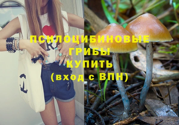 spice Богородск