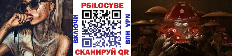 купить Полтавская Галлюциногенные грибы MAGIC MUSHROOMS